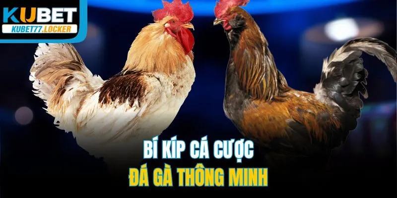 Bí kíp cá cược đá gà thông minh