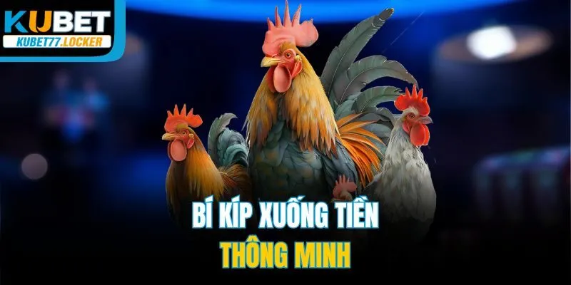Bí kíp xuống tiền thông minh