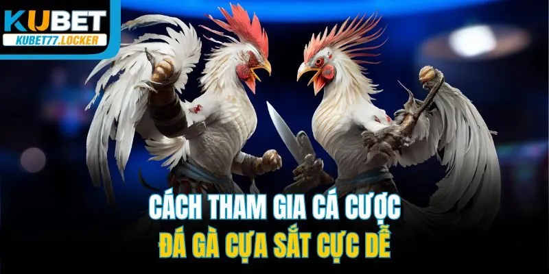Cách tham gia cá cược đá gà cựa sắt cực dễ