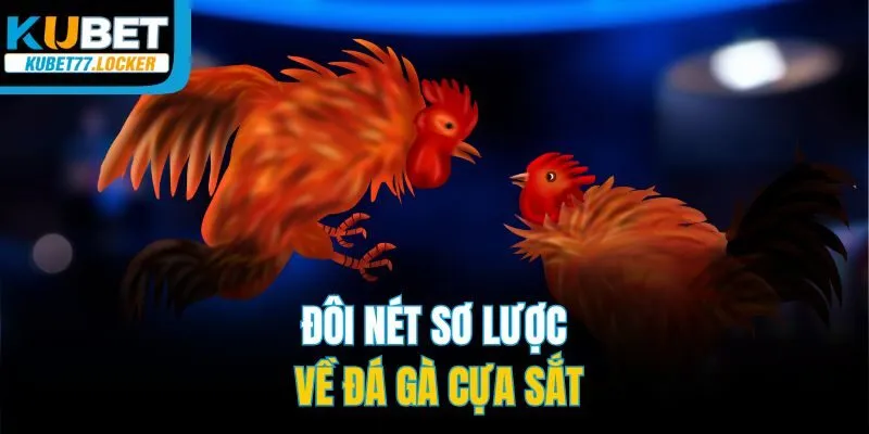 Đôi nét sơ lược về đá gà cựa sắt