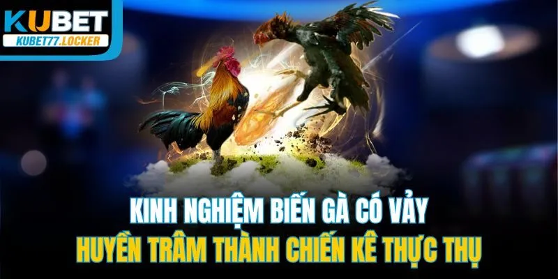 Kinh nghiệm biến gà có vảy huyền trâm thành chiến kê thực thụ