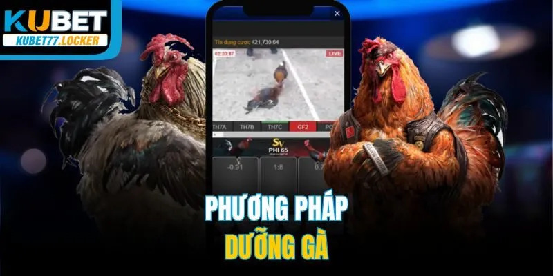 Phương pháp dưỡng gà