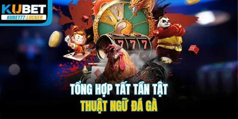 Tổng hợp tất tần tật thuật ngữ đá gà