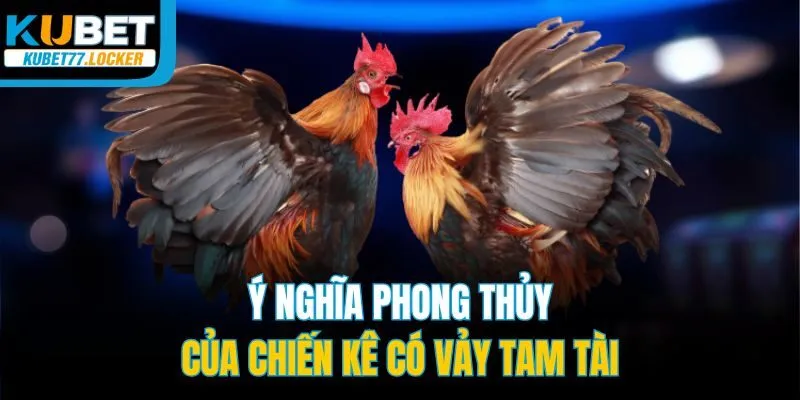 Ý nghĩa phong thủy của chiến kê có vảy tam tài